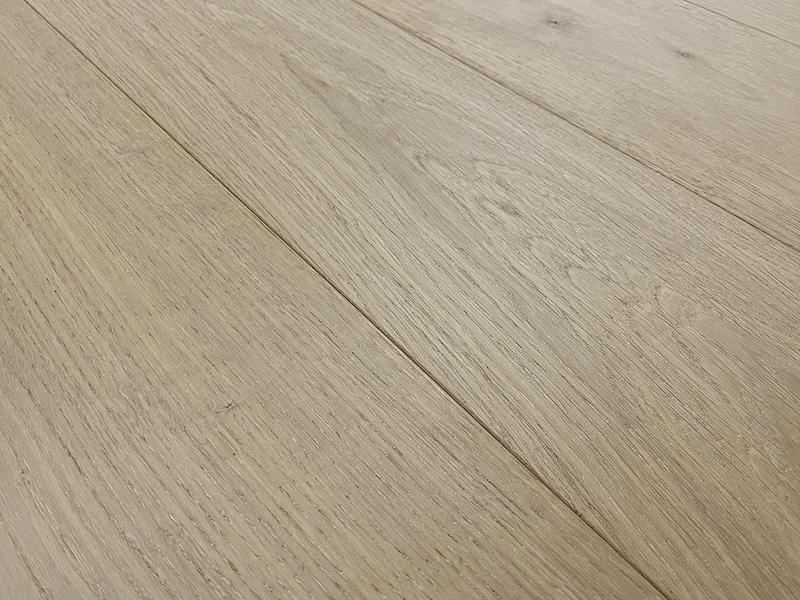 COSTA Euro Oak Ancona