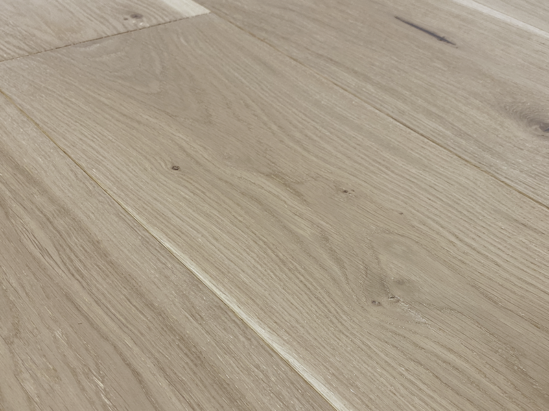 COSTA Euro Oak Leone