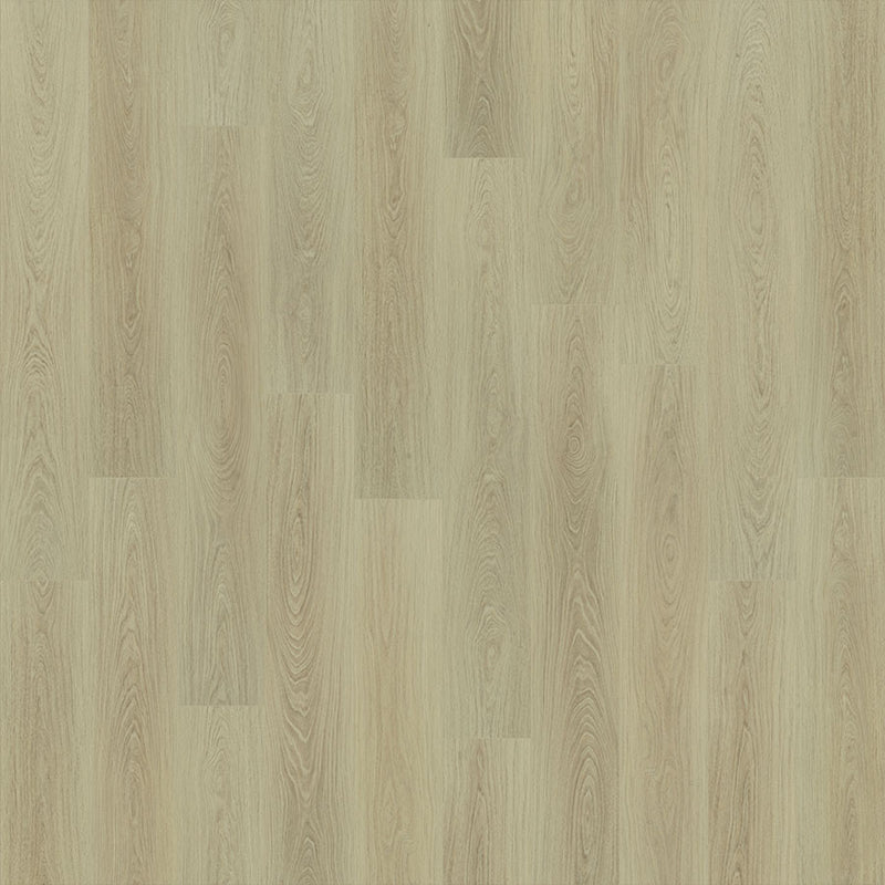 Courtier Courtier Oak Ghent
