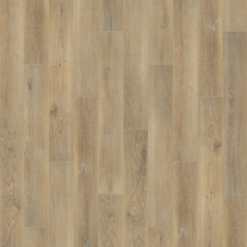 Courtier Courtier Oak Camarilla