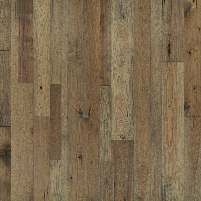 Monterey Monterey Hickory Palomino - Grey-Brown