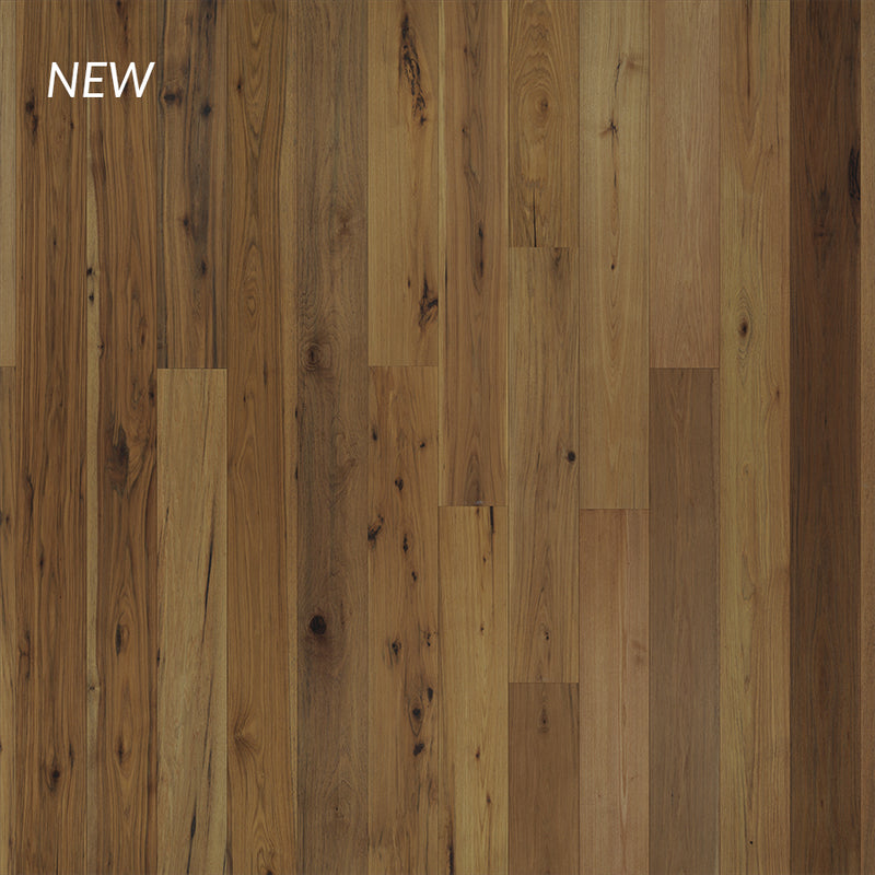 True True Hickory Azalea - Brown