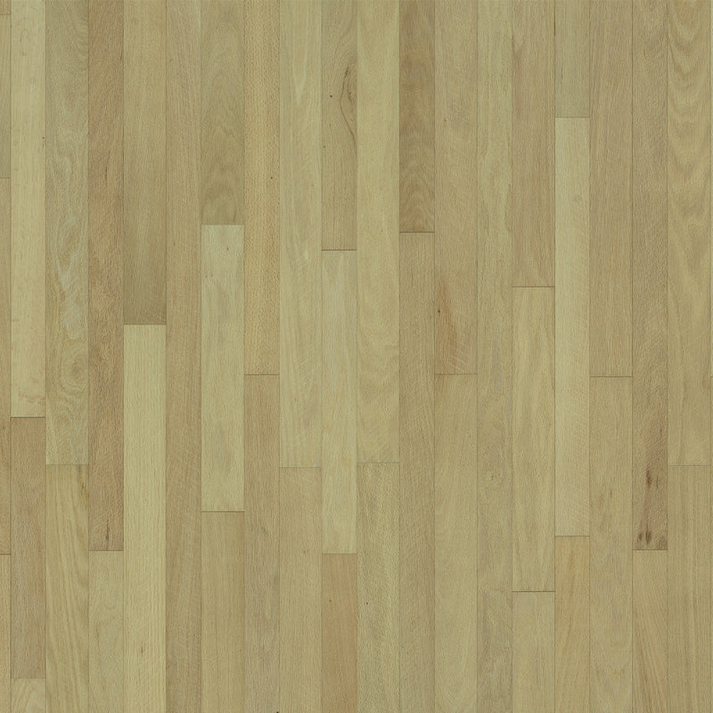 Organic Solid Organic Solid Oak Rue - Blonde