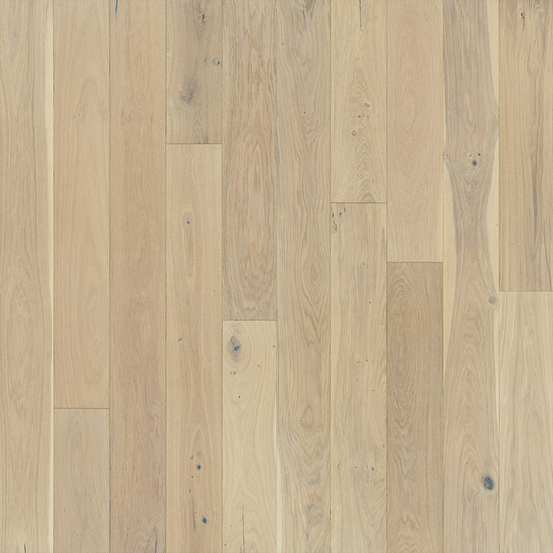 Ventura Ventura Oak Seashell