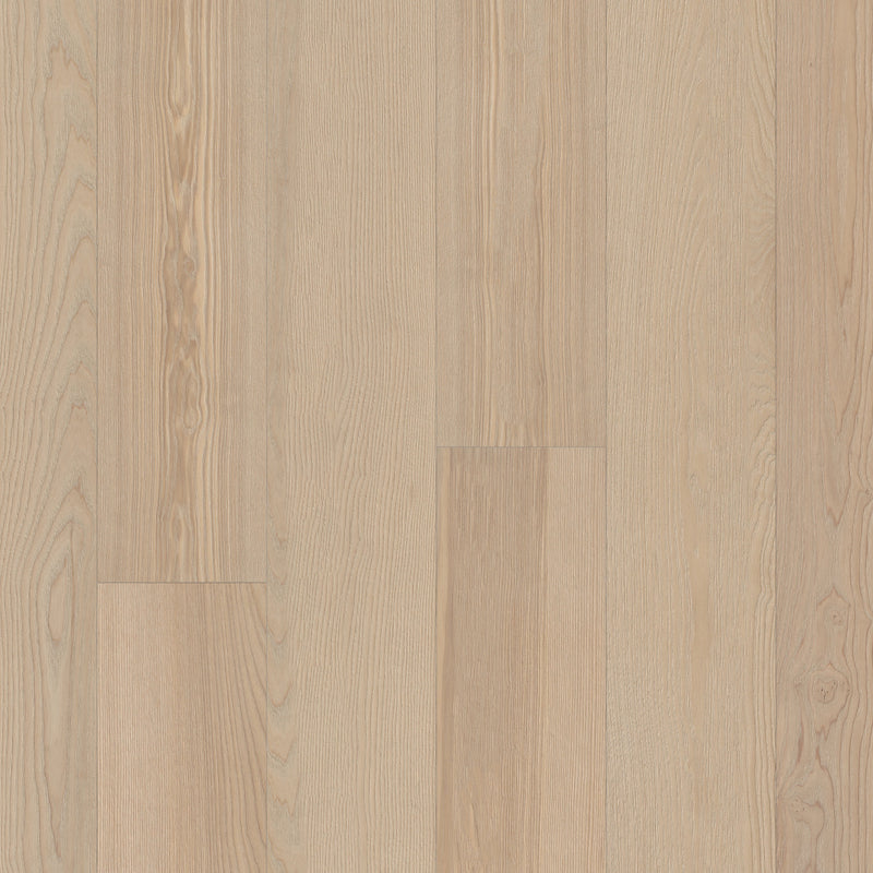 European Ash European Ash - Metro