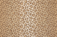 Rosecore Rosecore Bargello - Image 1