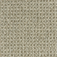 Colony - Image 5