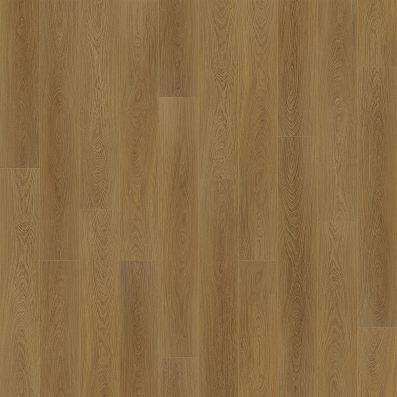 Courtier Courtier Oak Griffith