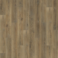Courtier Courtier Oak Chancellor - Image 1