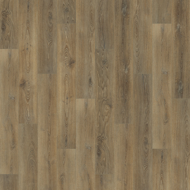 Courtier Courtier Oak Chancellor
