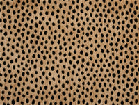 Dottie - Image 4
