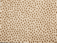 Dottie - Image 5
