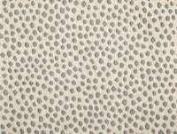 Dottie - Image 10