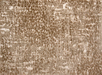 Kiki - Image 6