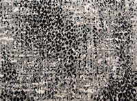 Kiki - Image 8