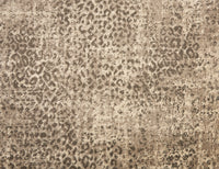 King Cheetah - Image 10