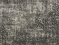 King Cheetah - Image 11