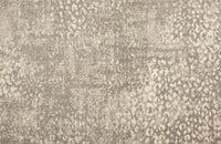 King Cheetah - Image 12