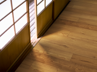 Hokkaido Collection Kuri Smoked KURI Smoked Smooth - Image 3