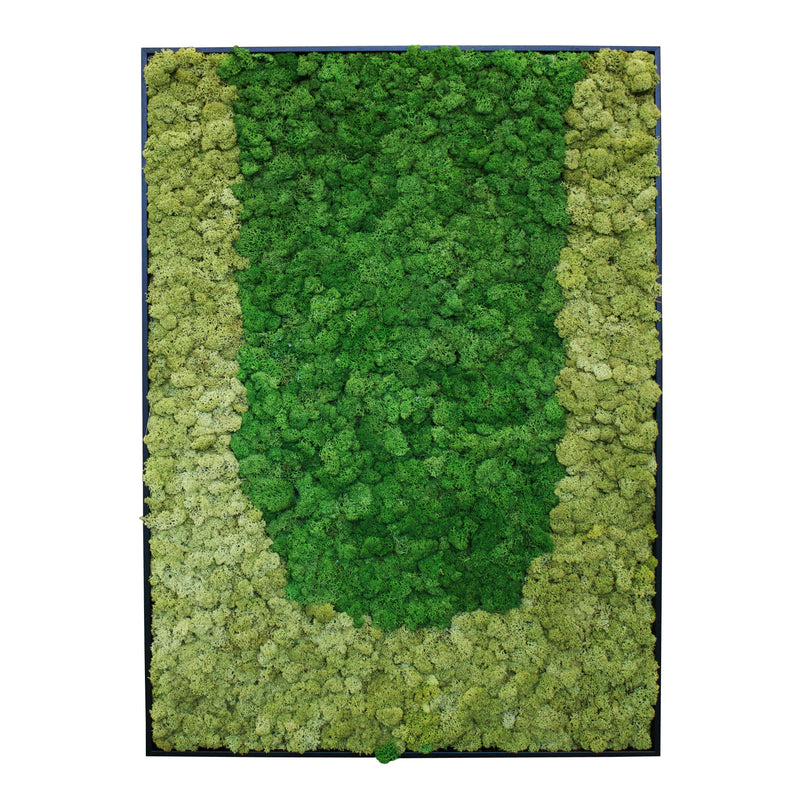 Riva Moss MoMa Framed M03 (25