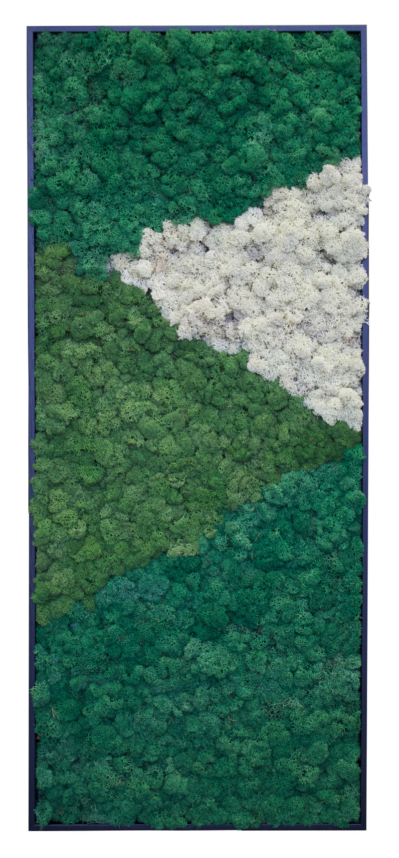 Riva Moss MoMa Framed M01 (15