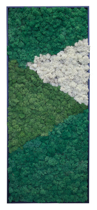 Riva Moss MoMa Framed M03 (25