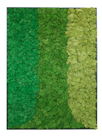 Riva Moss MoMa Framed M03 (25