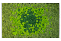 Riva Moss MoMa Framed M02 (25