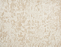 Momentum - Image 1