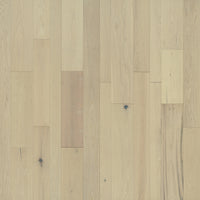 Monterey Monterey Red Oak Appaloosa - Image 1