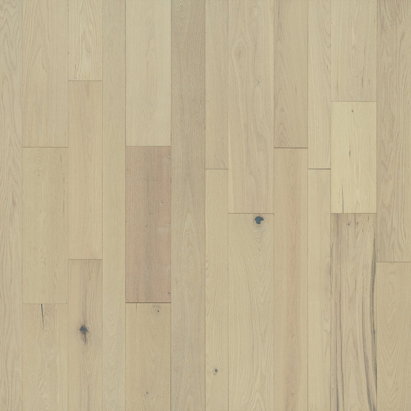 Monterey Monterey Red Oak Appaloosa