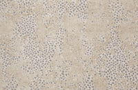 Motion - Image 1