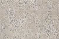 Motion - Image 10