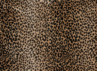 Mufasa - Image 6