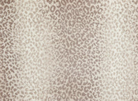 Mufasa - Image 11