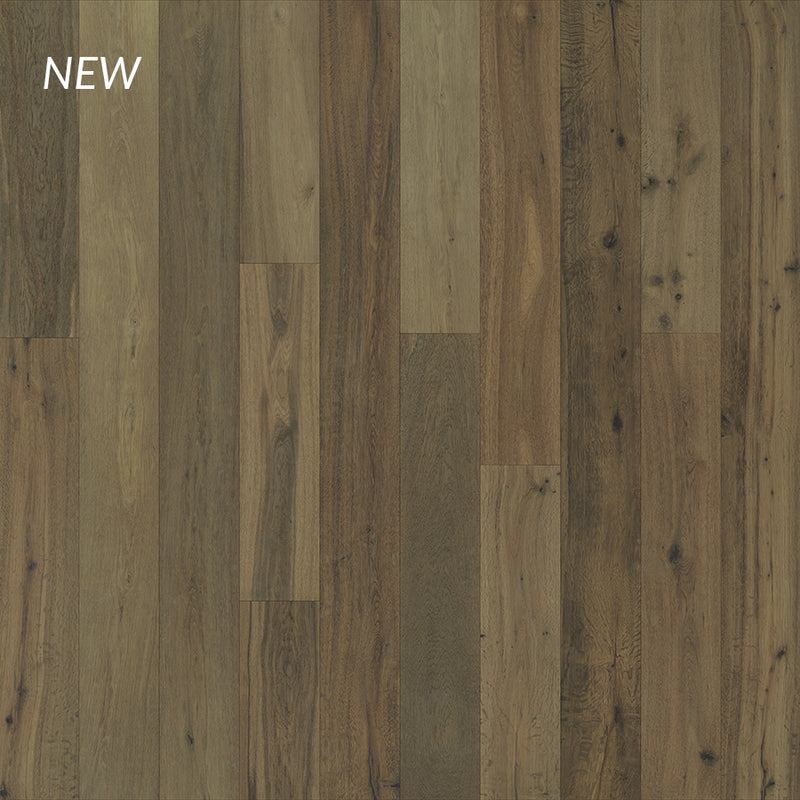 True True Oak Bergamot - Brown