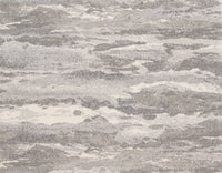 Nova - Image 1