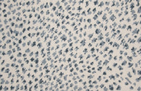 Rosecore Paxton Rosecore Paxton Cheetah - Image 1