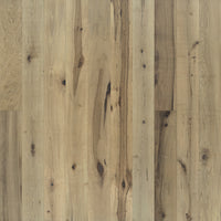 True True Maple Orris - Image 1