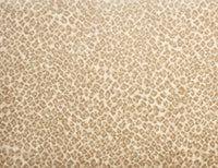 Serengeti - Image 2