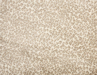 Serengeti - Image 5