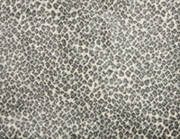 Serengeti - Image 7
