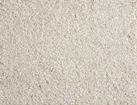 Shaggy Superstar - Image 4