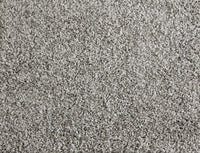 Shaggy Superstar - Image 6