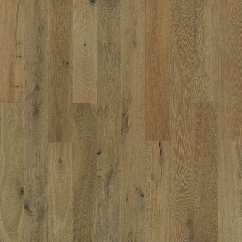 Ventura Ventura Oak Dune