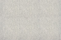 ZOE - Image 14
