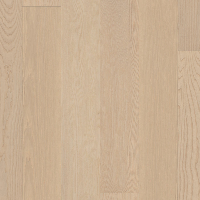 European Ash European Ash - Plaza