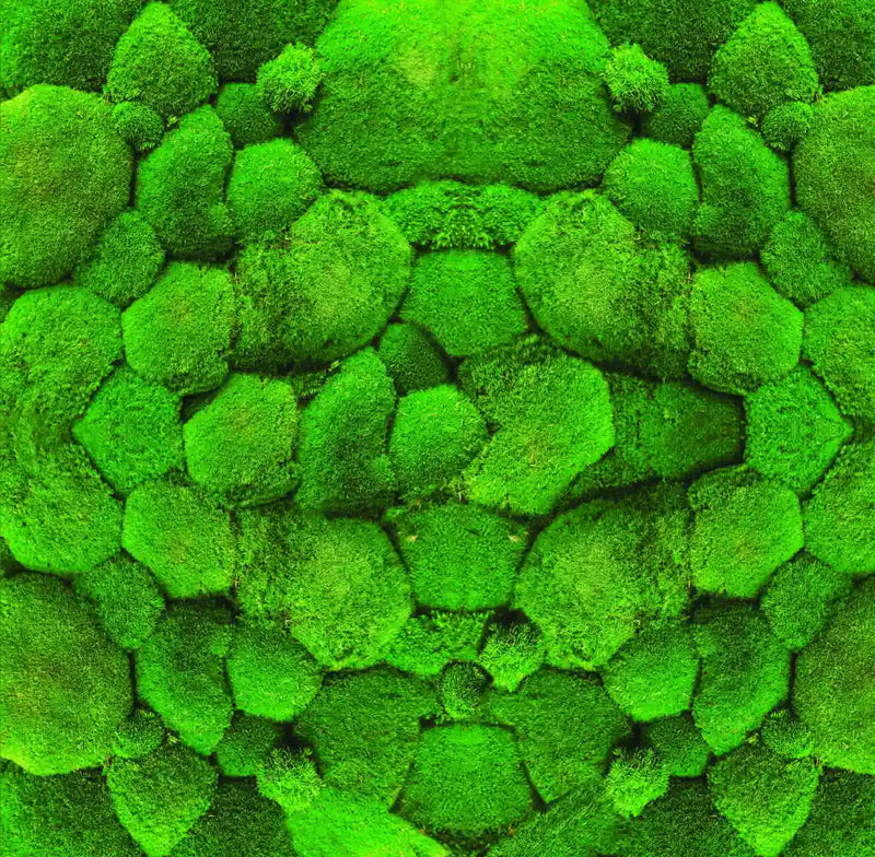 Riva Moss Balls