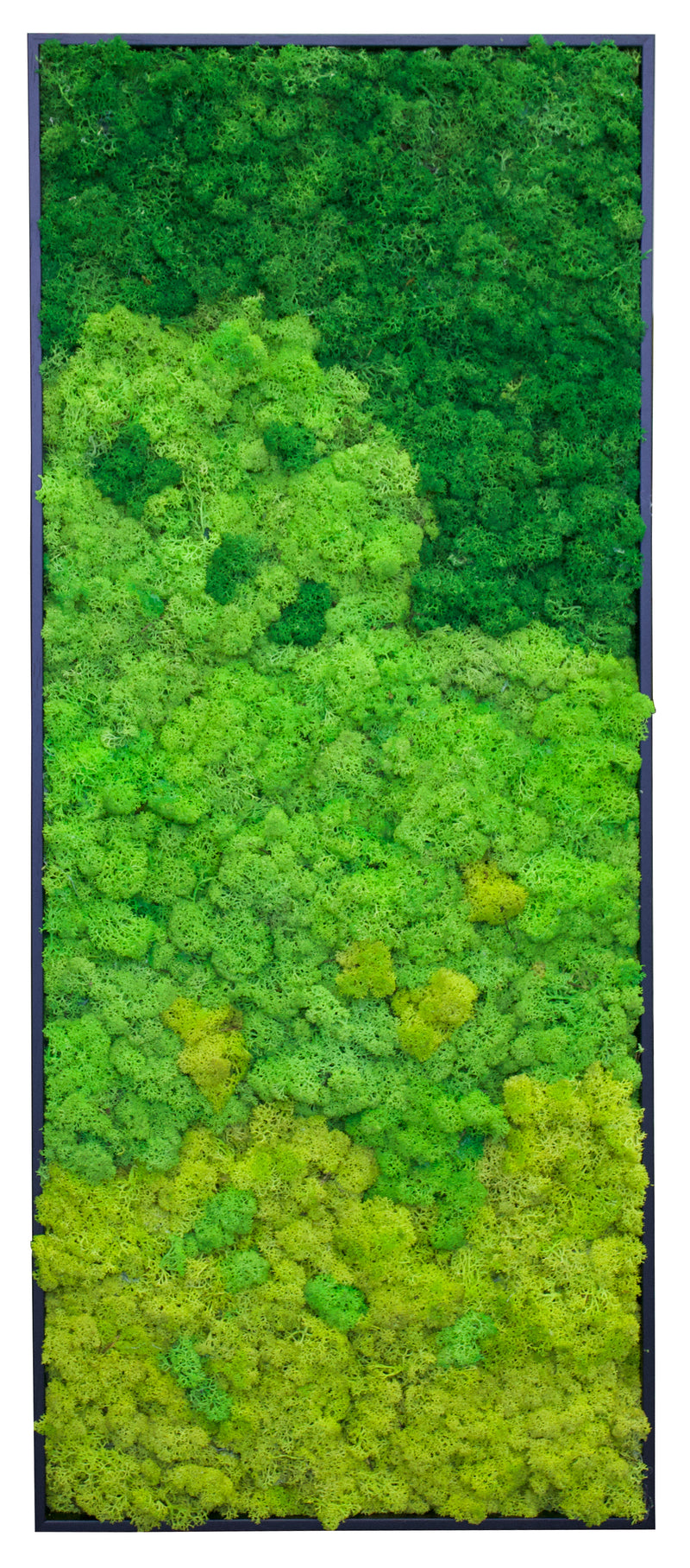 Riva Moss Essentials Framed E03 (15