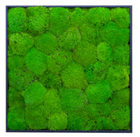 Riva Moss Essentials Framed E03 (15
